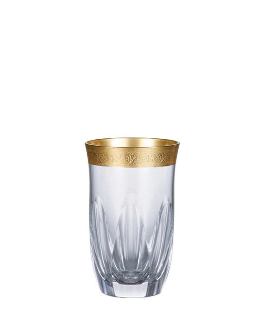 Bohemia Crystal Jessie HB Tumbler 250ml (set of 2 pcs)