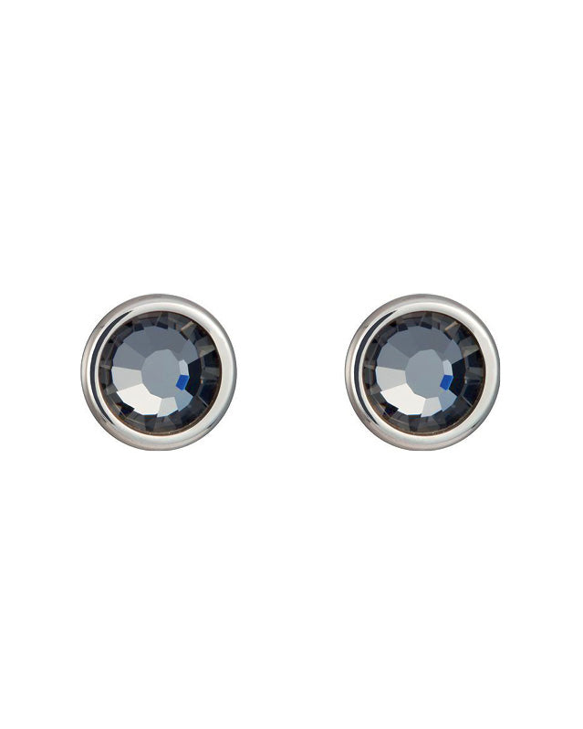 Bohemia Crystal Carlyn Surgical Steel Earrings with Preciosa Crystal - Chrome 7235 40