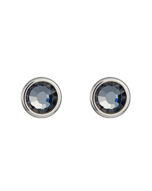 Bohemia Crystal Carlyn Surgical Steel Earrings with Preciosa Crystal - Chrome 7235 40